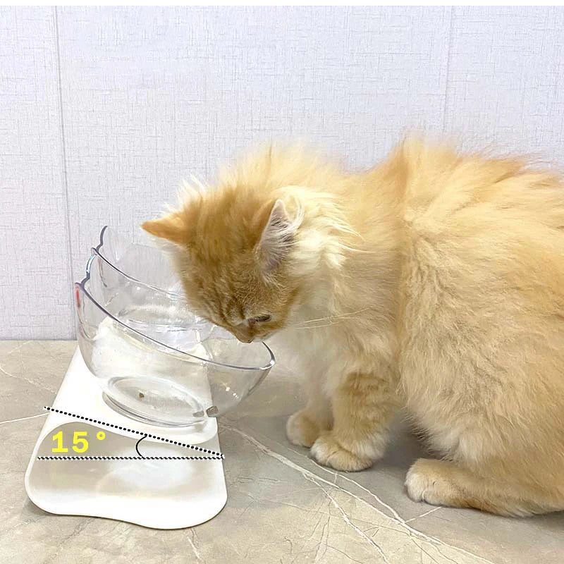 Non-Slip Double Cat Bowl | Dog Bowl With Stand | Pet Feeding Water Bowl