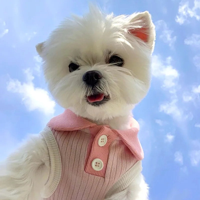 Summer Dog T-shirt | Thin Dog Clothes | Breathable Puppy Clothing