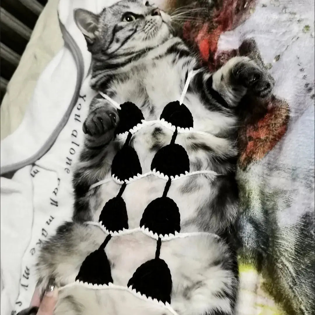 Funny Cat Bra Clothes | Pet Cosplay Bikini | Kitten Pet Underwear