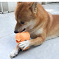 Bite-Resistance Dog Toys | Silicone Pet Slow Food Toys | Puzzle Pet Chew Toys