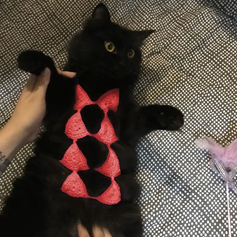 Funny Cat Bra Clothes | Pet Cosplay Bikini | Kitten Pet Underwear