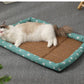 Summer Rattan Cat Dog Bed | Comfortable Pet Ice Mat | Kittens Puppy Beds Cushion